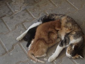 12-0618Merz (47).JPG